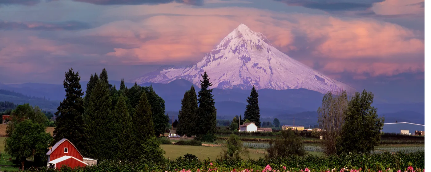 Living in Sandy, Oregon: A Local's Guide to the Gateway to Mount Hood