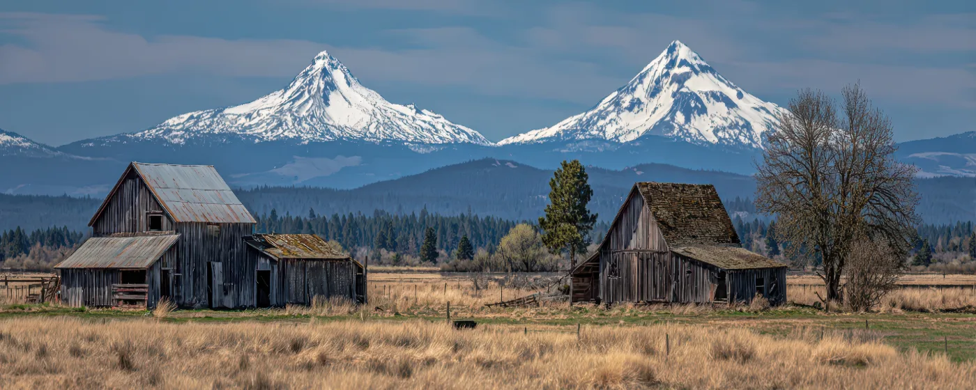 Living in Sisters, Oregon: A Local's Guide to Moving Here