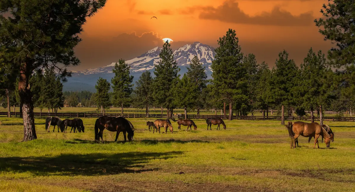 Living in Sisters, Oregon