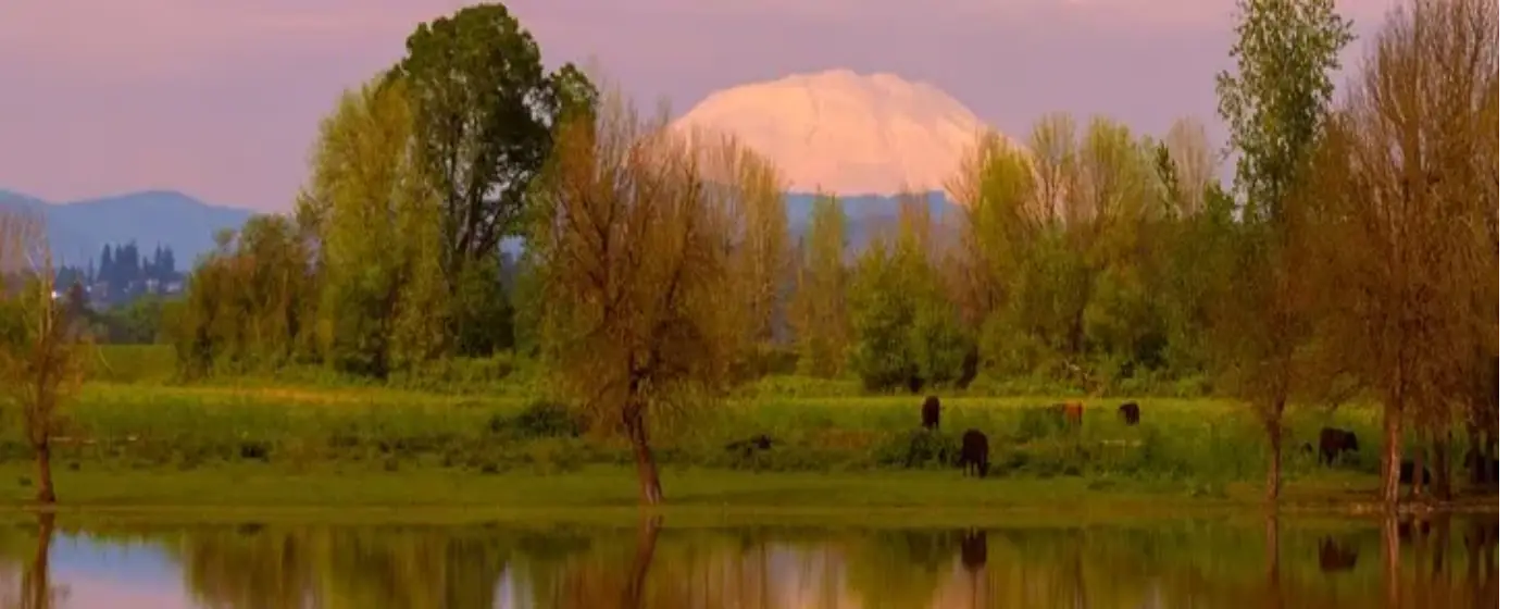 Living in St. Helens, Oregon: A Local's Guide to the City on the Columbia