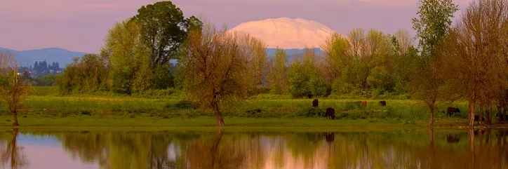 St. Helens