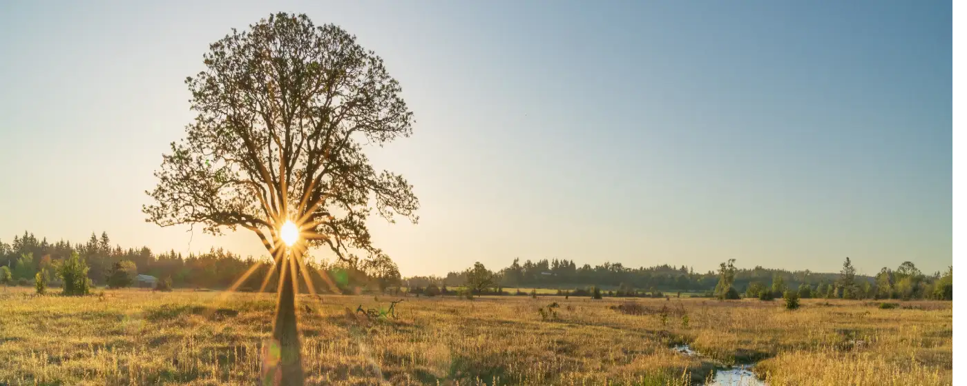 Living in Stayton, Oregon: A Complete Relocation Guide