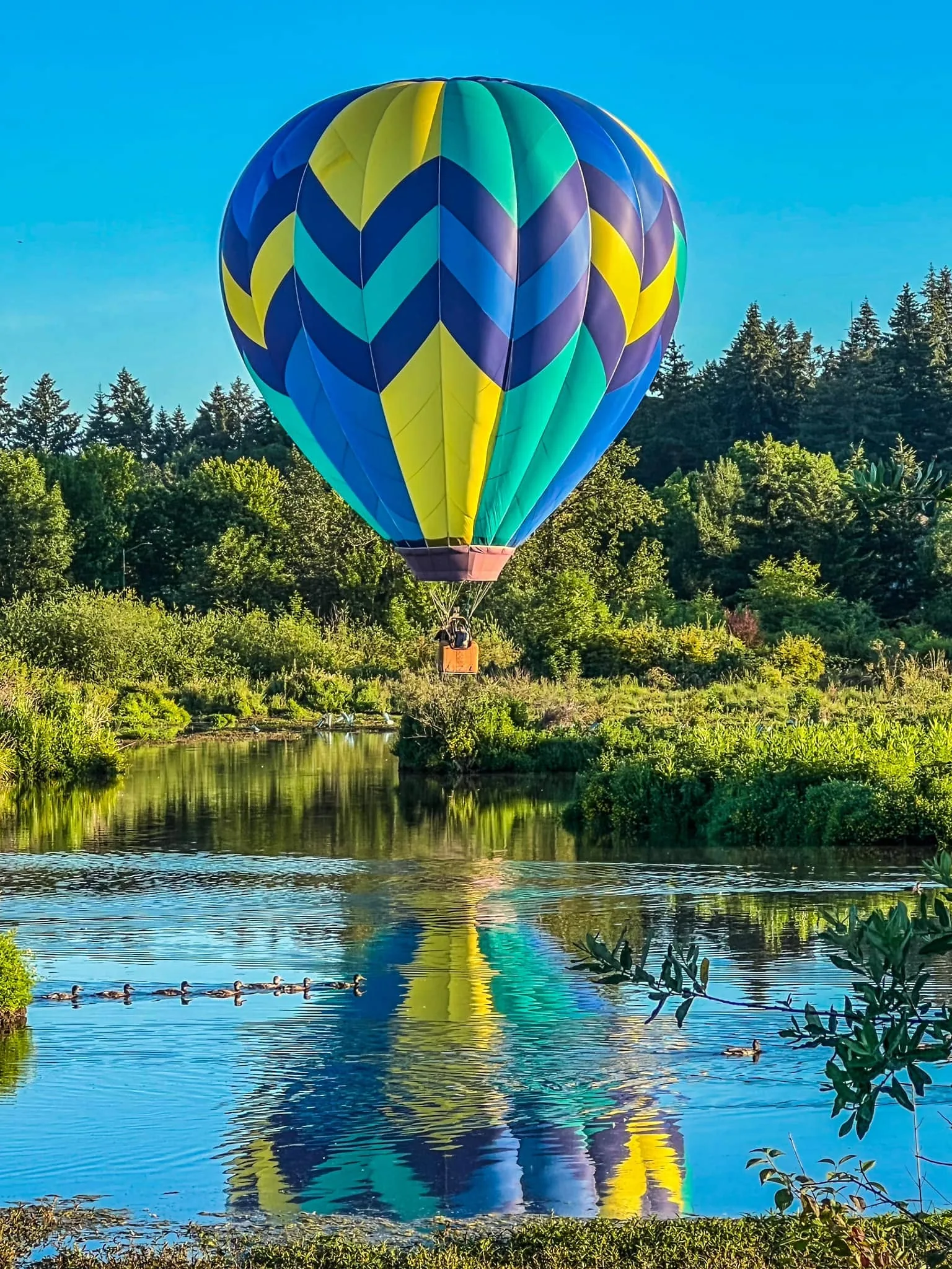 Tigard