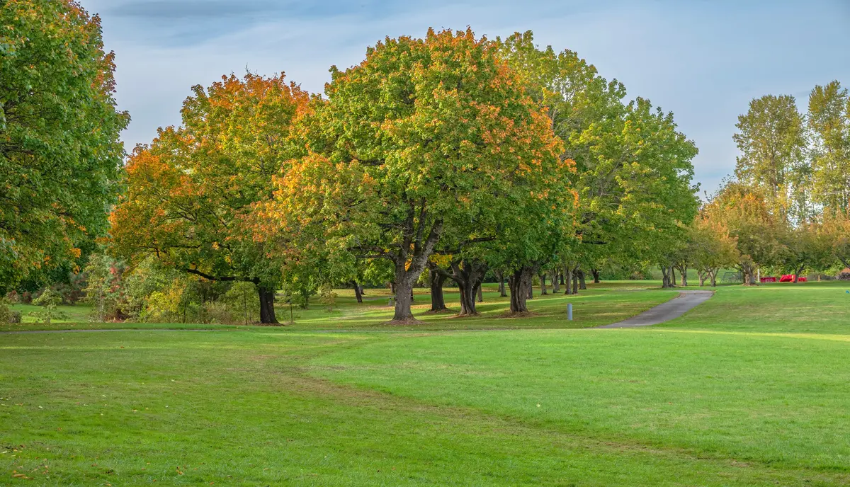 Living in Troutdale, Oregon