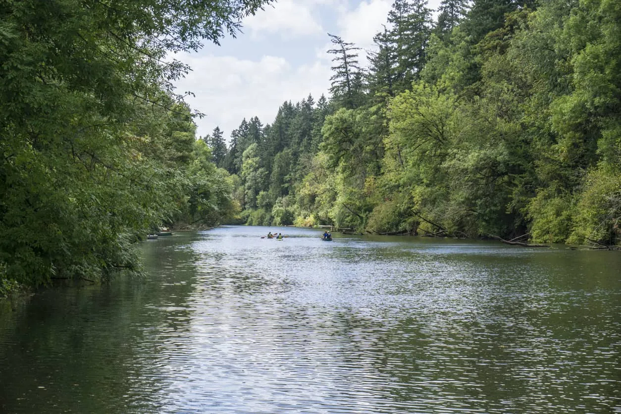 Tualatin scenery
