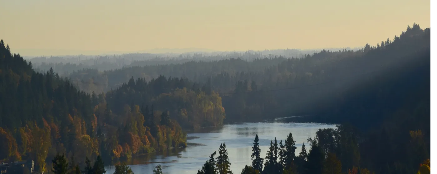 Living in West Linn, Oregon: What to Know Before You Move