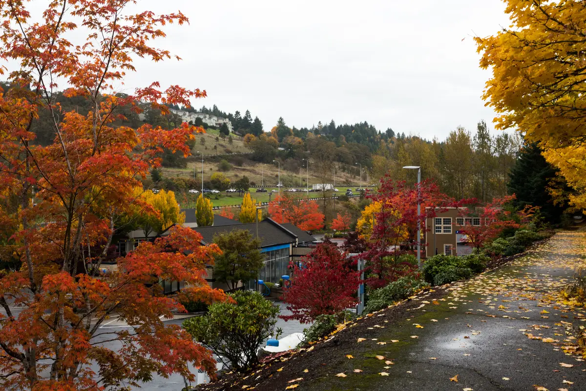 West Linn neighborhood