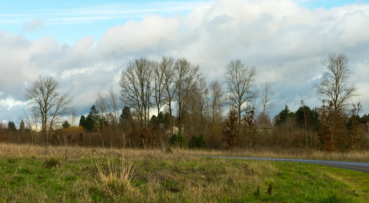 Wilsonville scenery