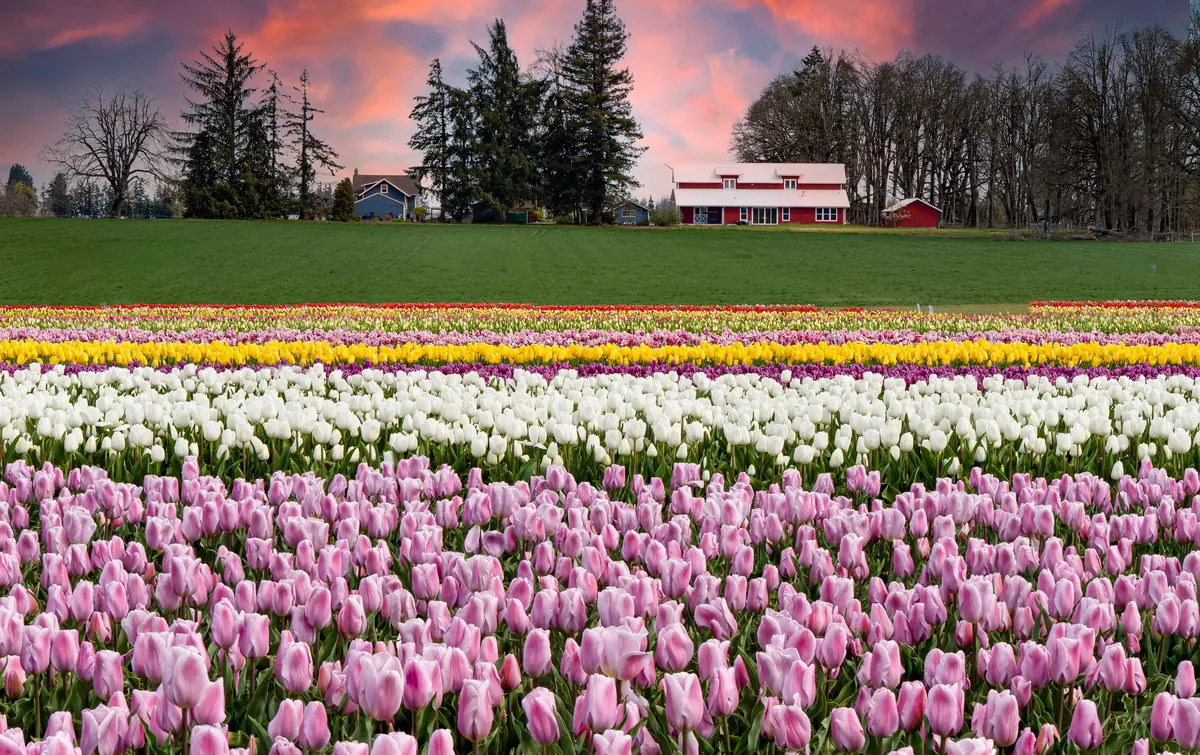 Living in Woodburn, Oregon
