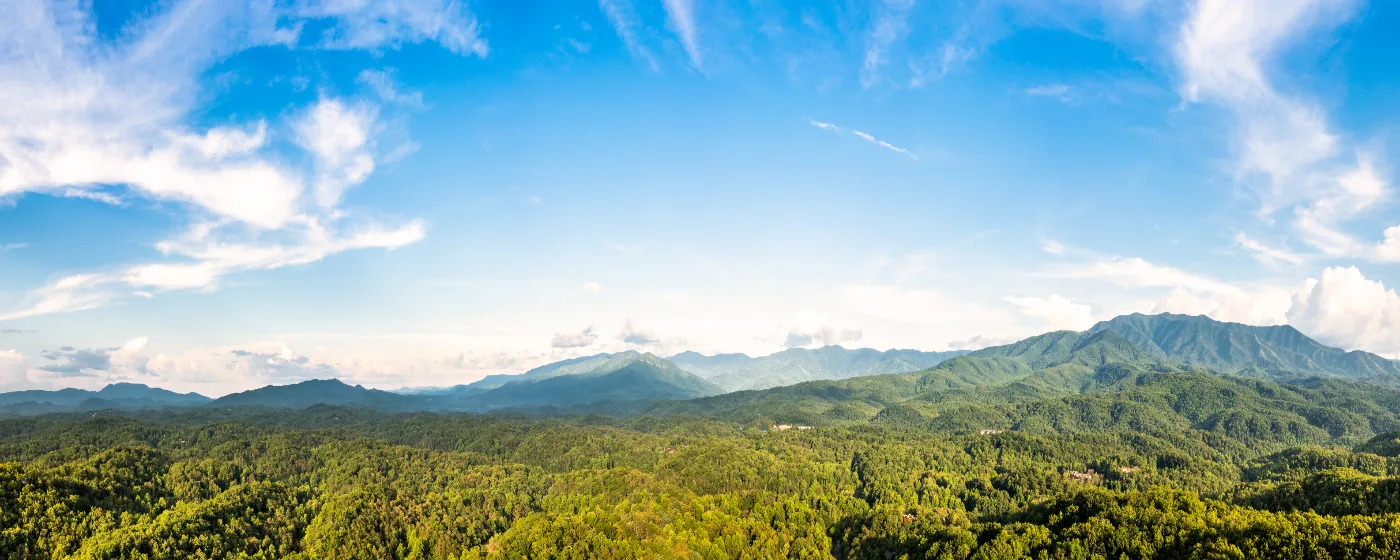 Gatlinburg, Tennessee Schools: Are They Right for Your Family? (2026)