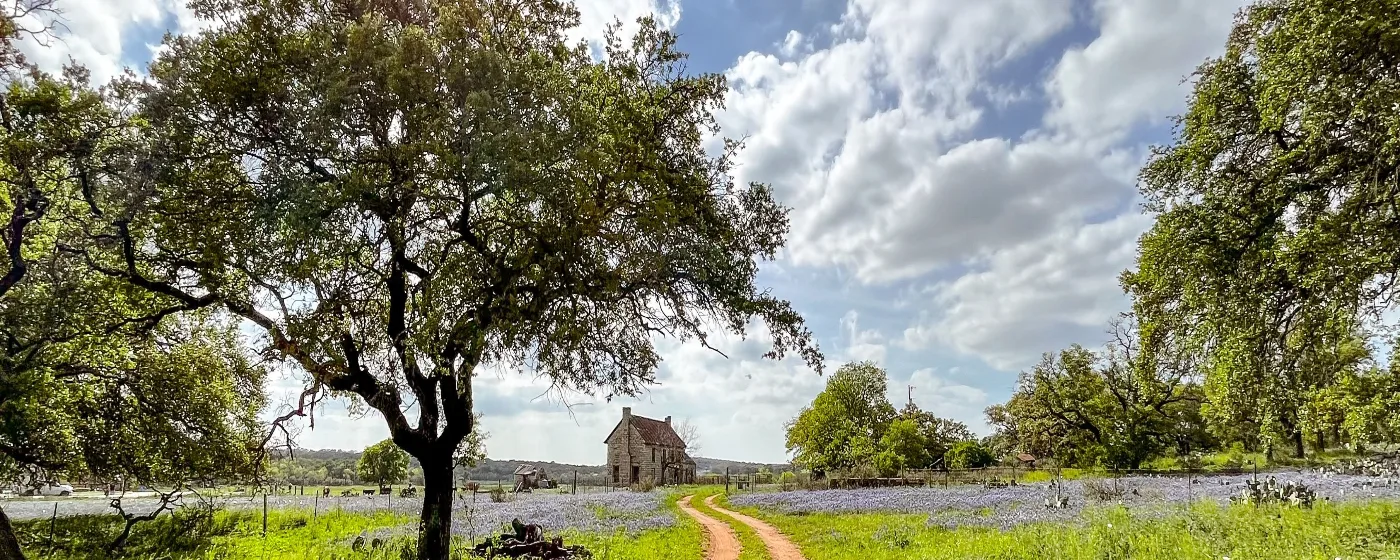 Living in Alamo Heights, TX: What to Know Before You Move