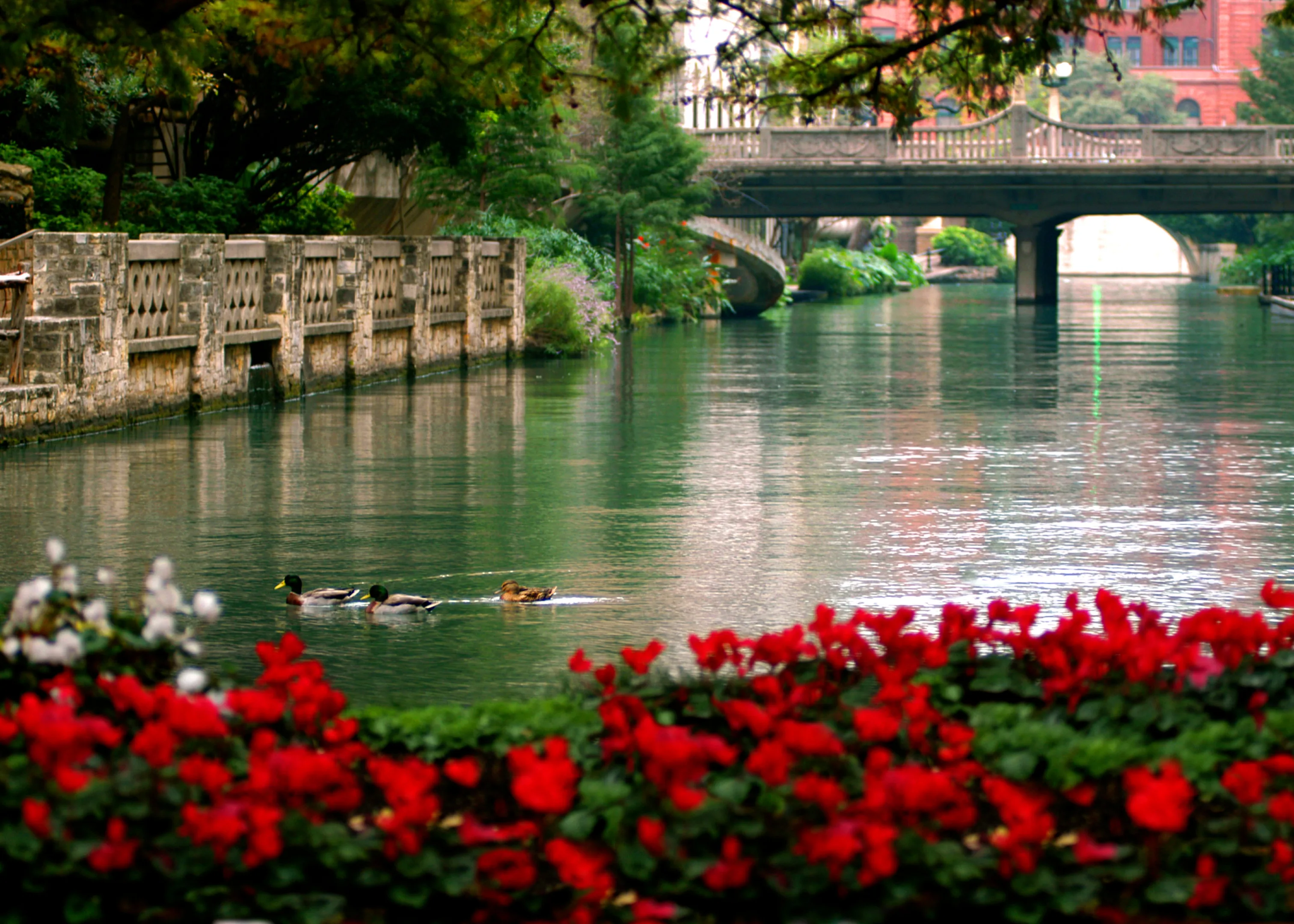 Alamo Heights neighborhood