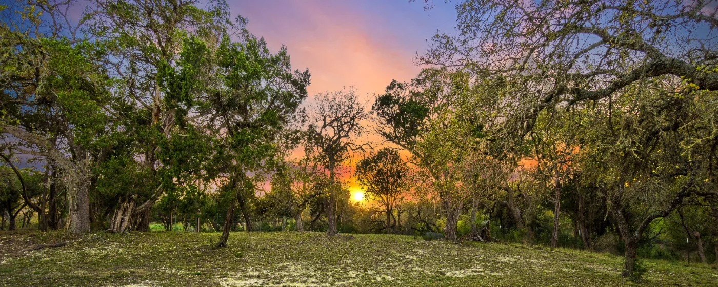 Living in Boerne, Texas: What to Know Before You Move