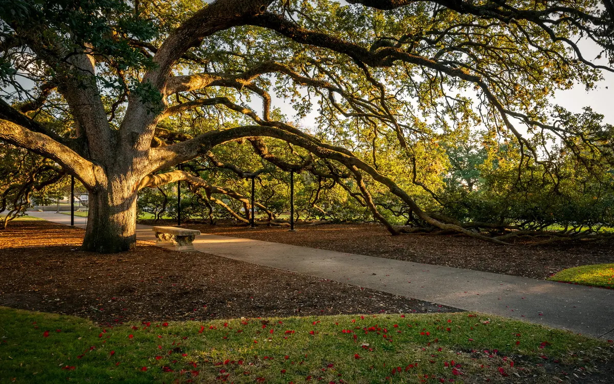 College Station neighborhood