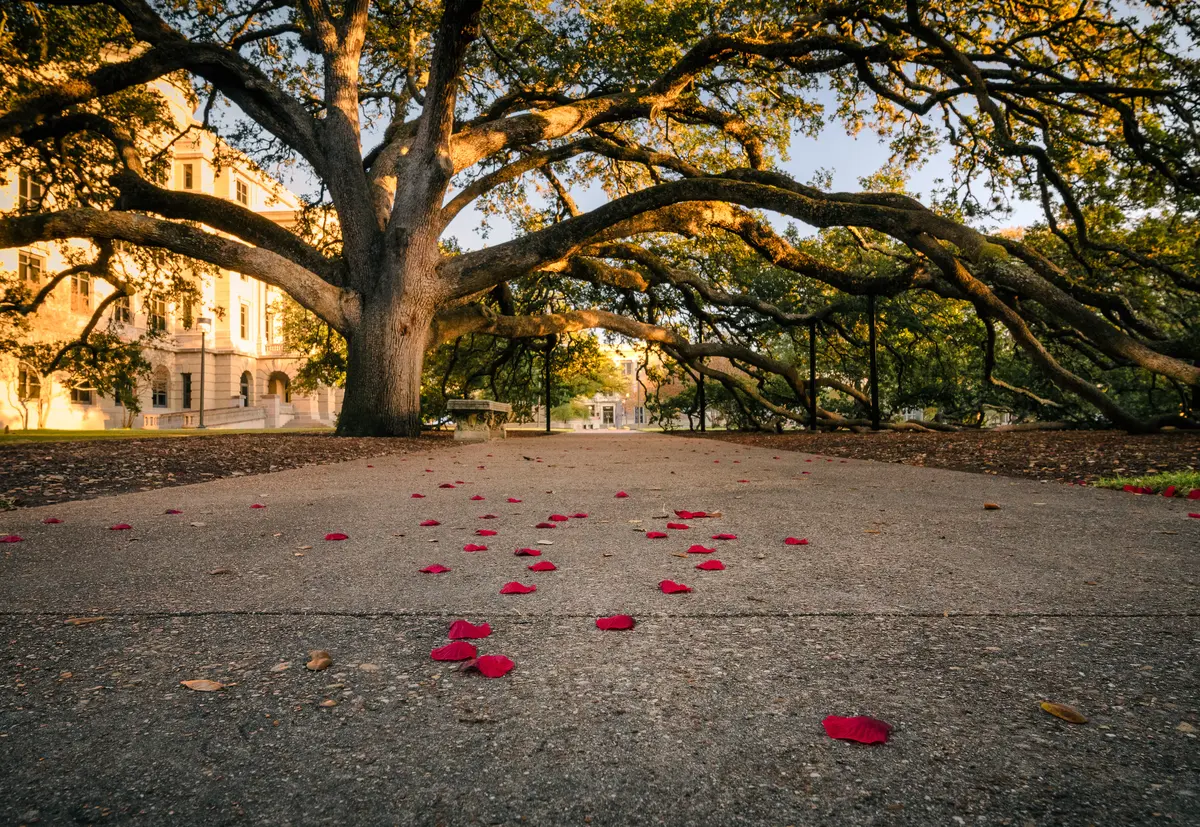 College Station