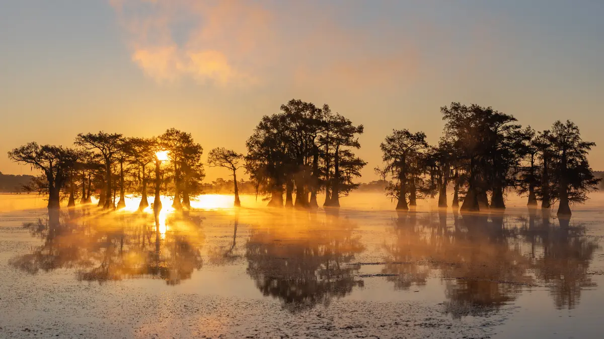 Living in the Golden Triangle, Texas — Everything You Need to Know
