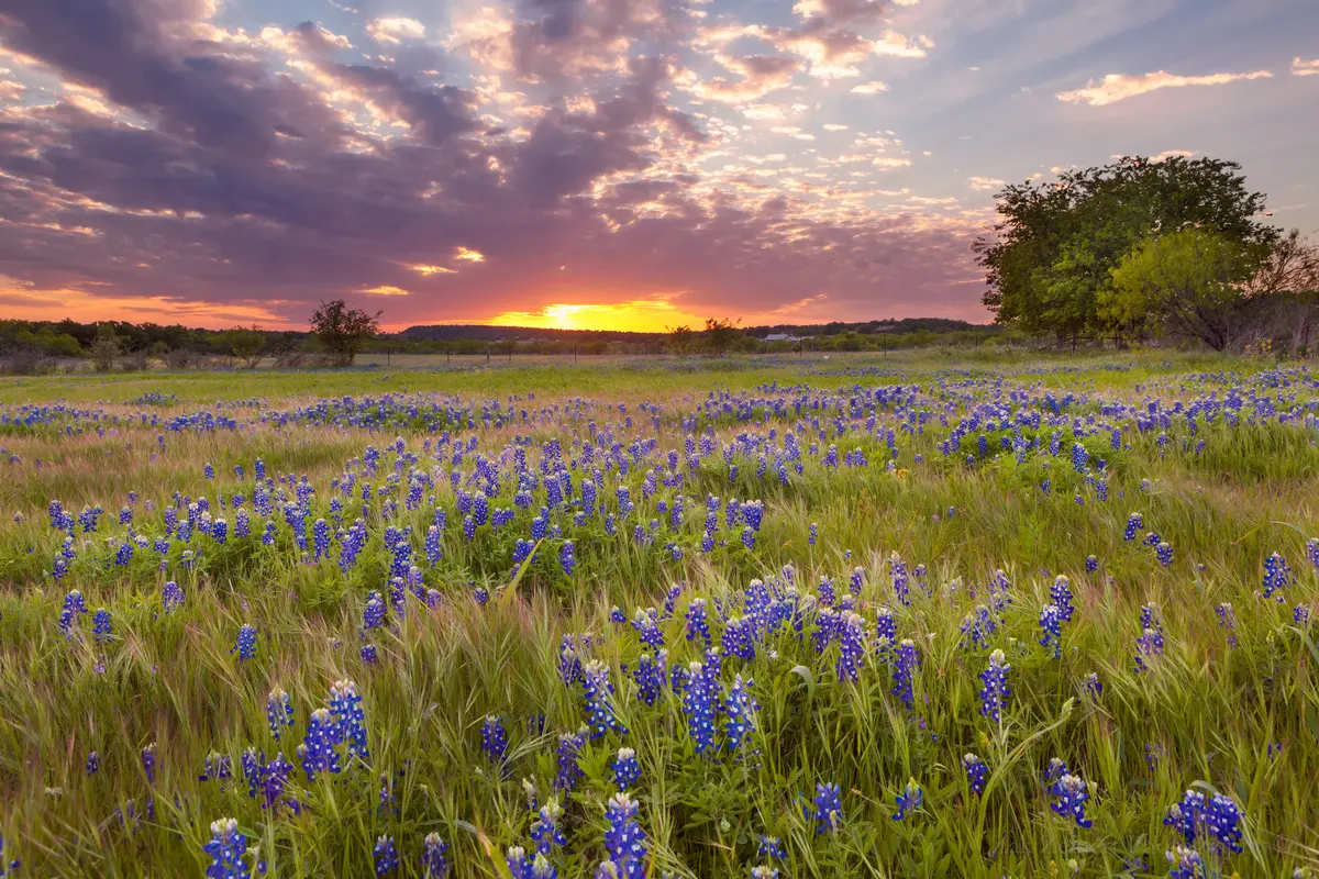 Marble Falls neighborhood