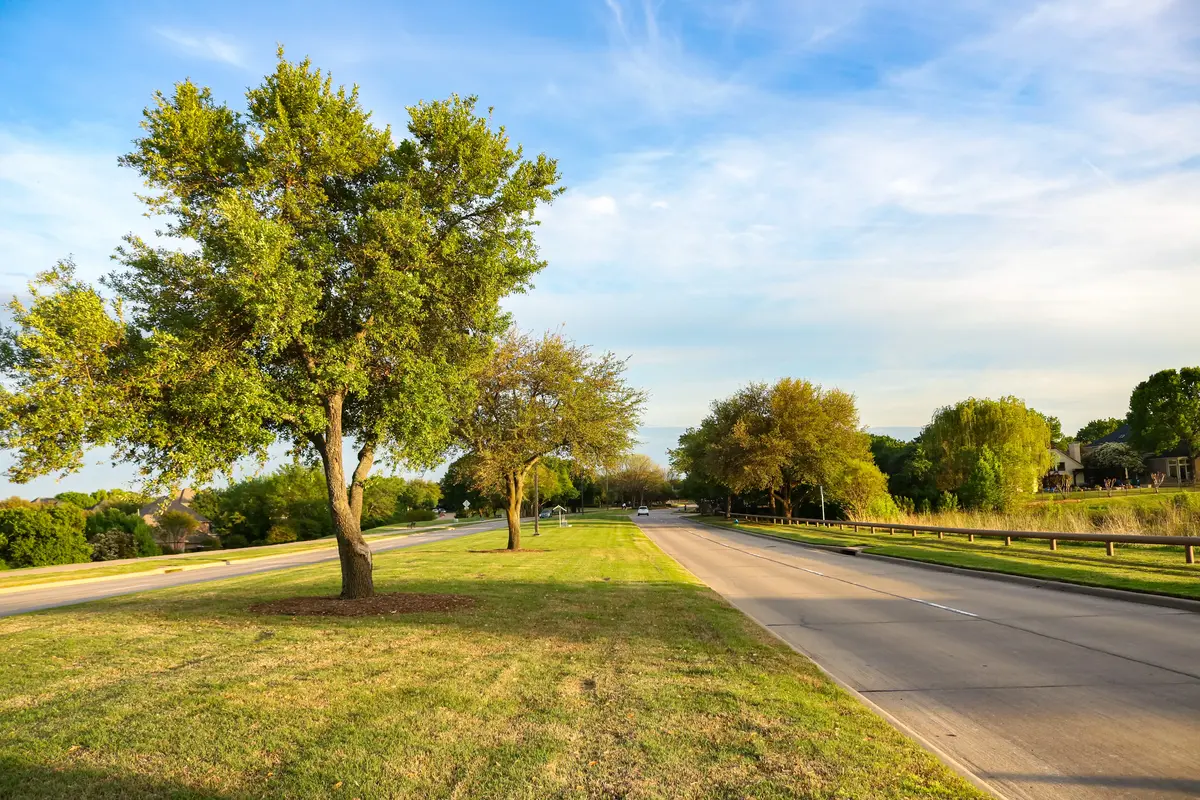 McKinney scenery