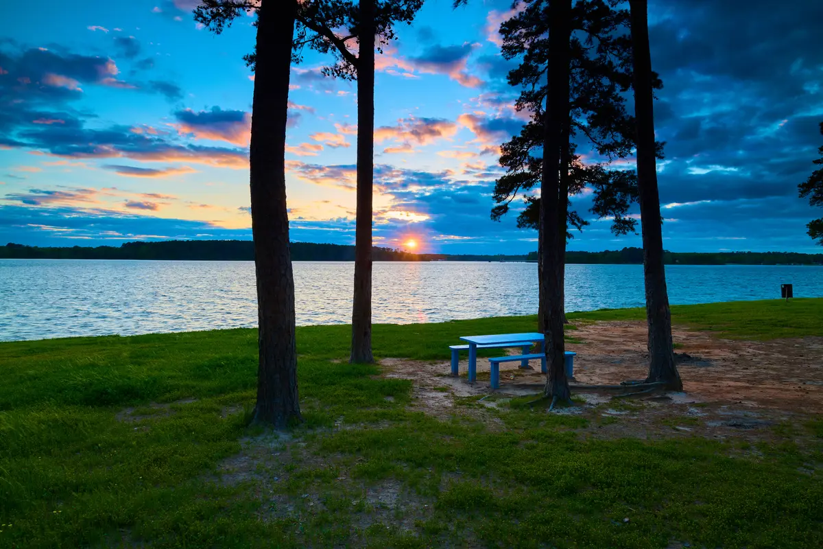 East Texas