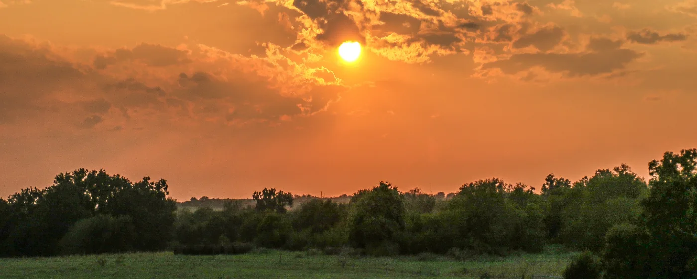Living in Seguin, Texas: What to Know Before You Move
