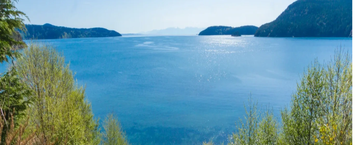 Anacortes, Washington Schools: Are They Right for Your Family? (2026)