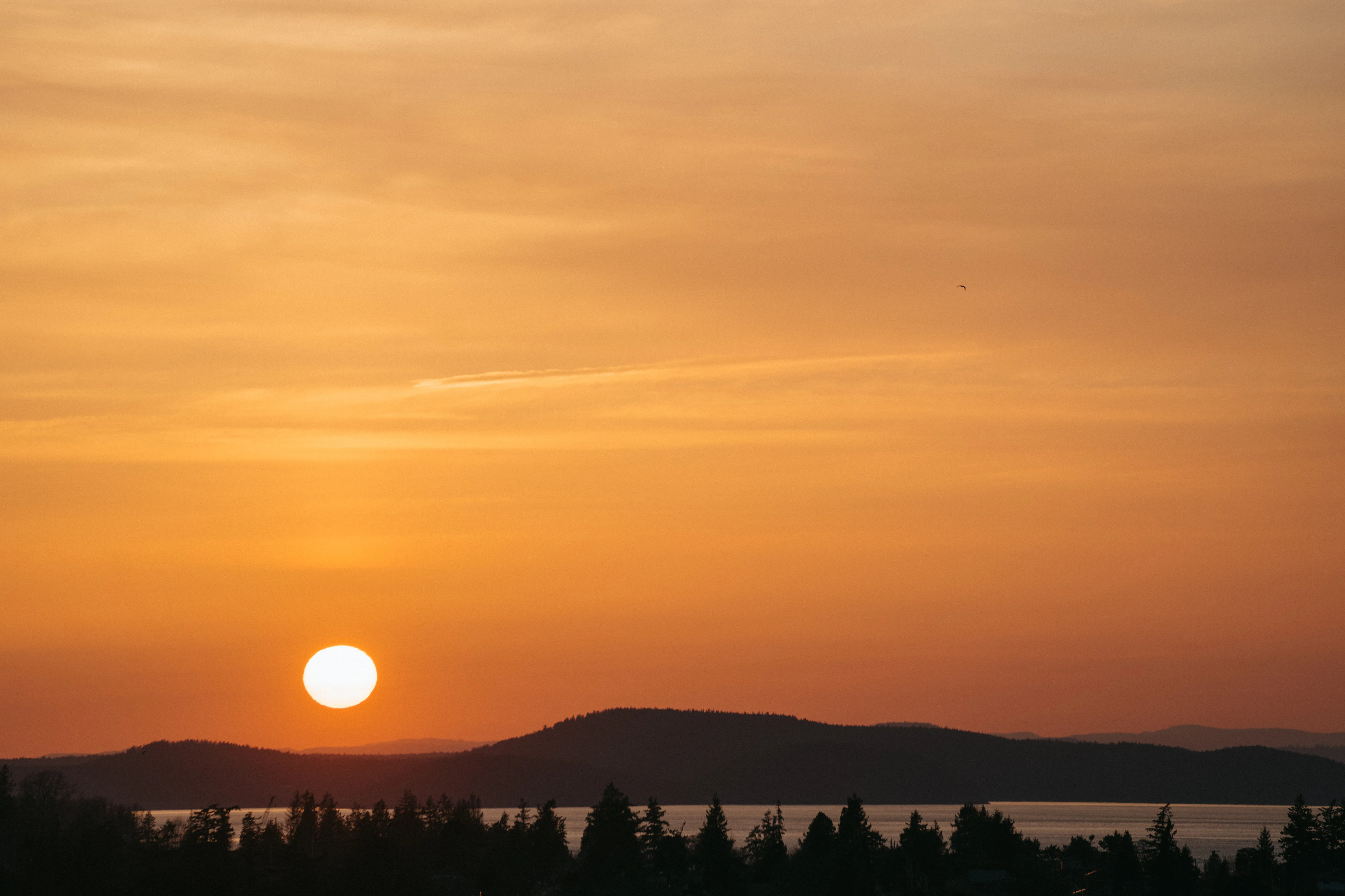 Anacortes