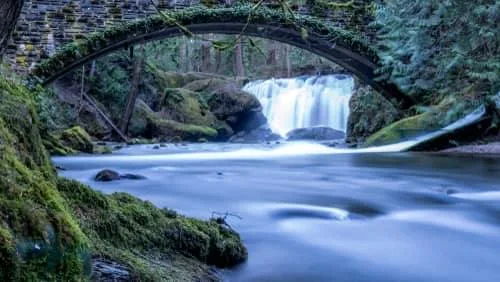 Bellingham