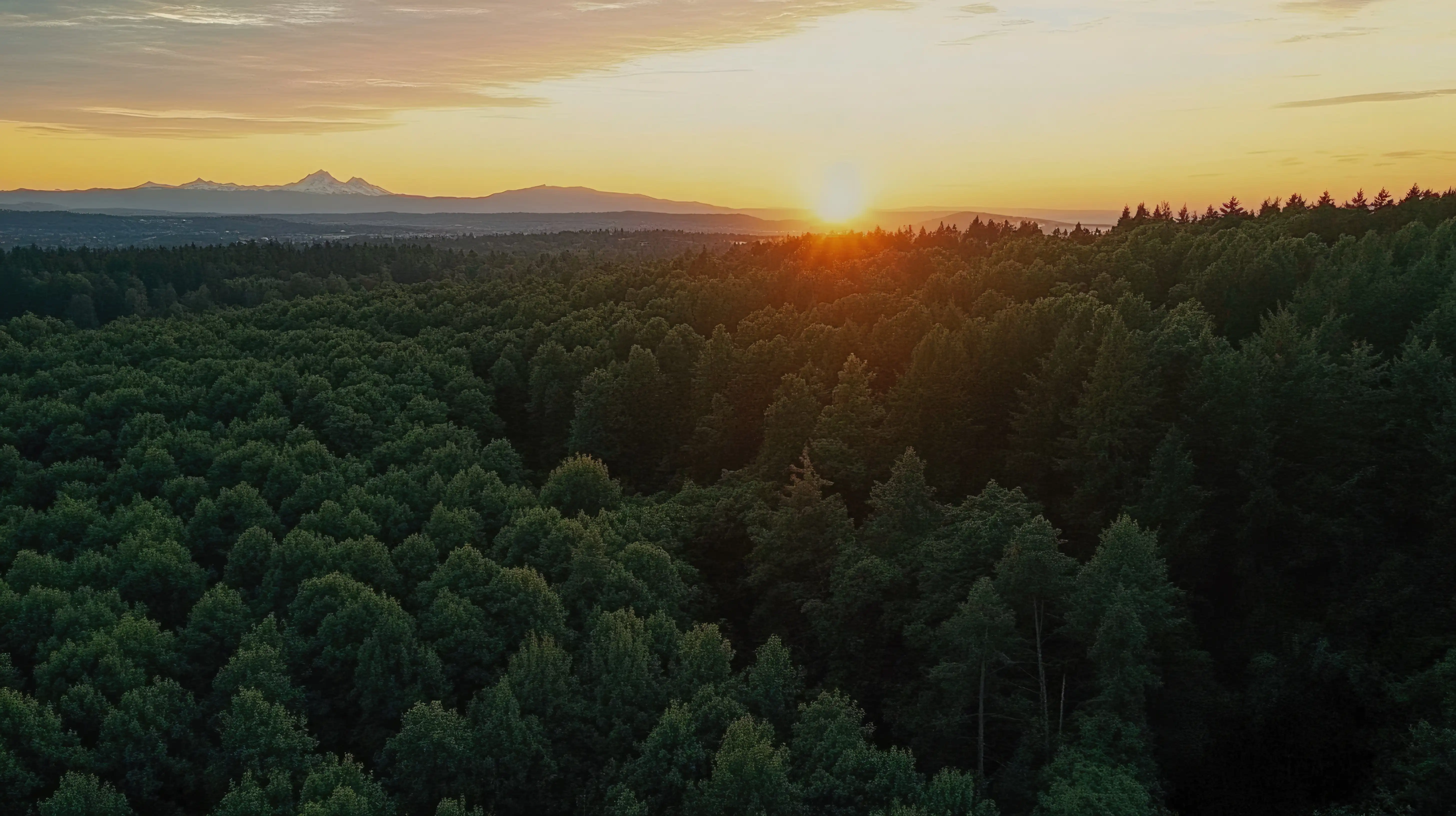 Bothell neighborhood