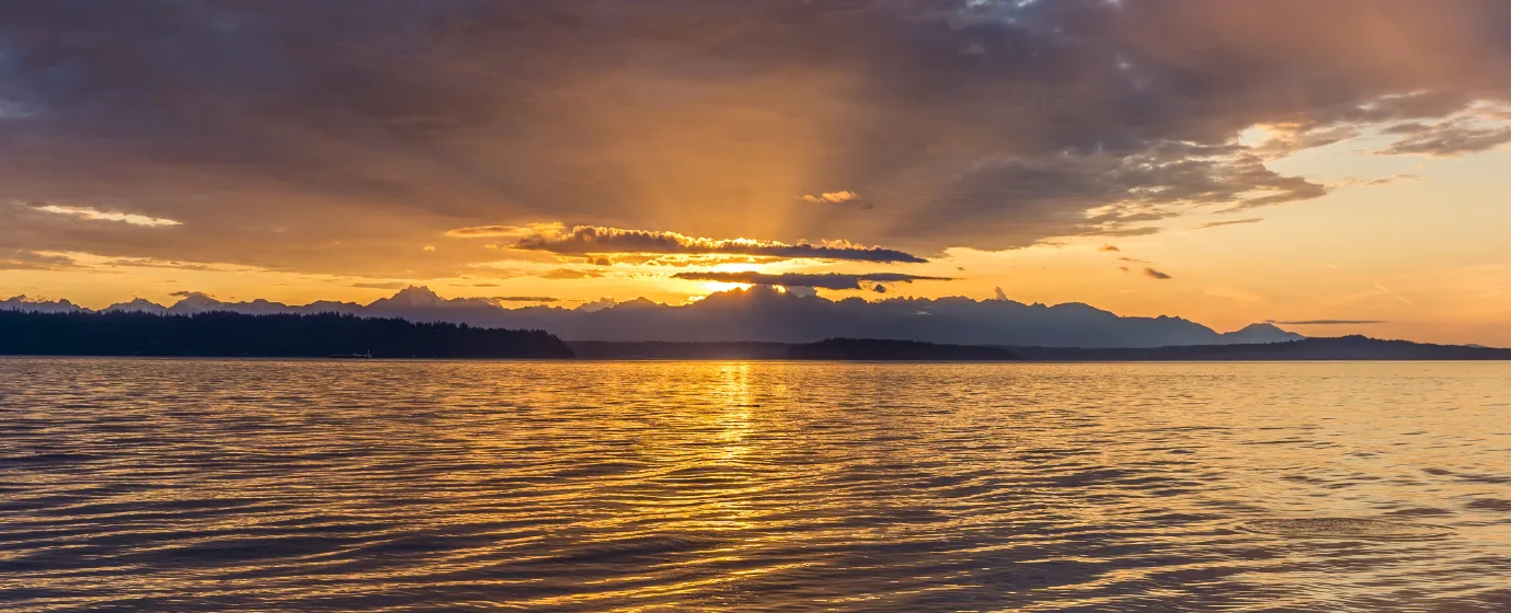 Living in Burien, WA: A Local's Guide to Neighborhoods, Commutes & What It's Really Like