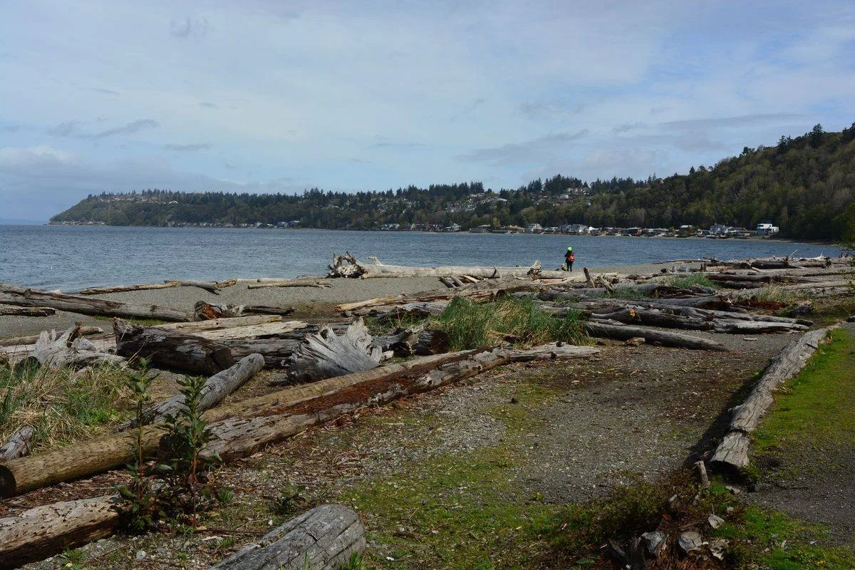 Burien scenery