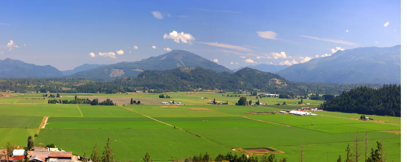 Burlington, Washington Schools: Are They Right for Your Family? (2026)