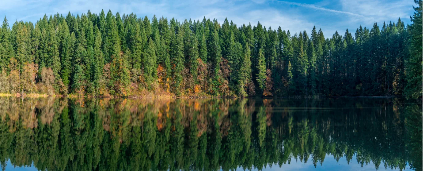 Living in Camas, WA: A Local's Guide to Moving Here in 2026