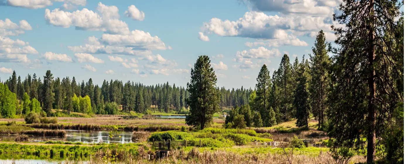 Living in Cheney, WA: What to Know Before You Move