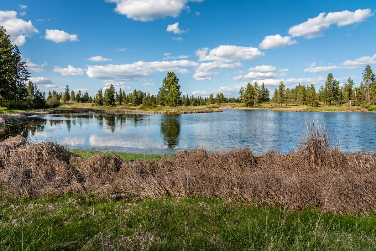Cheney scenery