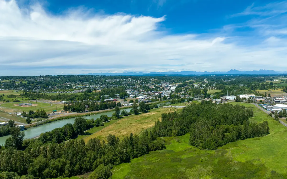 Ferndale neighborhood