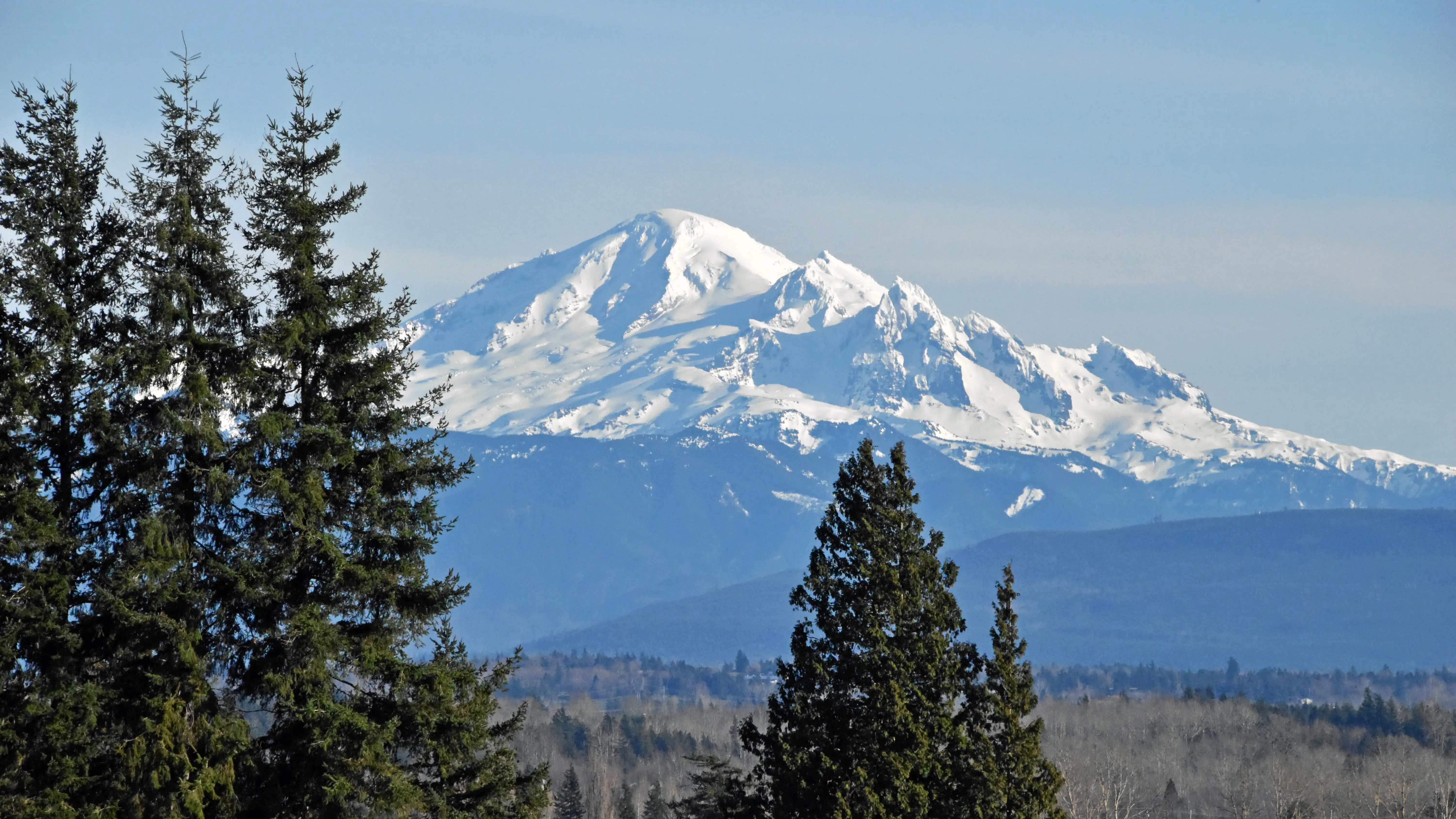 Ferndale scenery