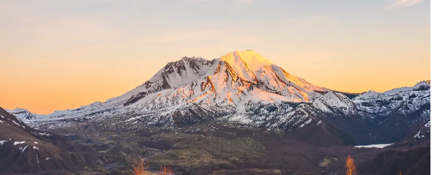 Kelso, Washington Schools: Are They Right for Your Family? (2026)