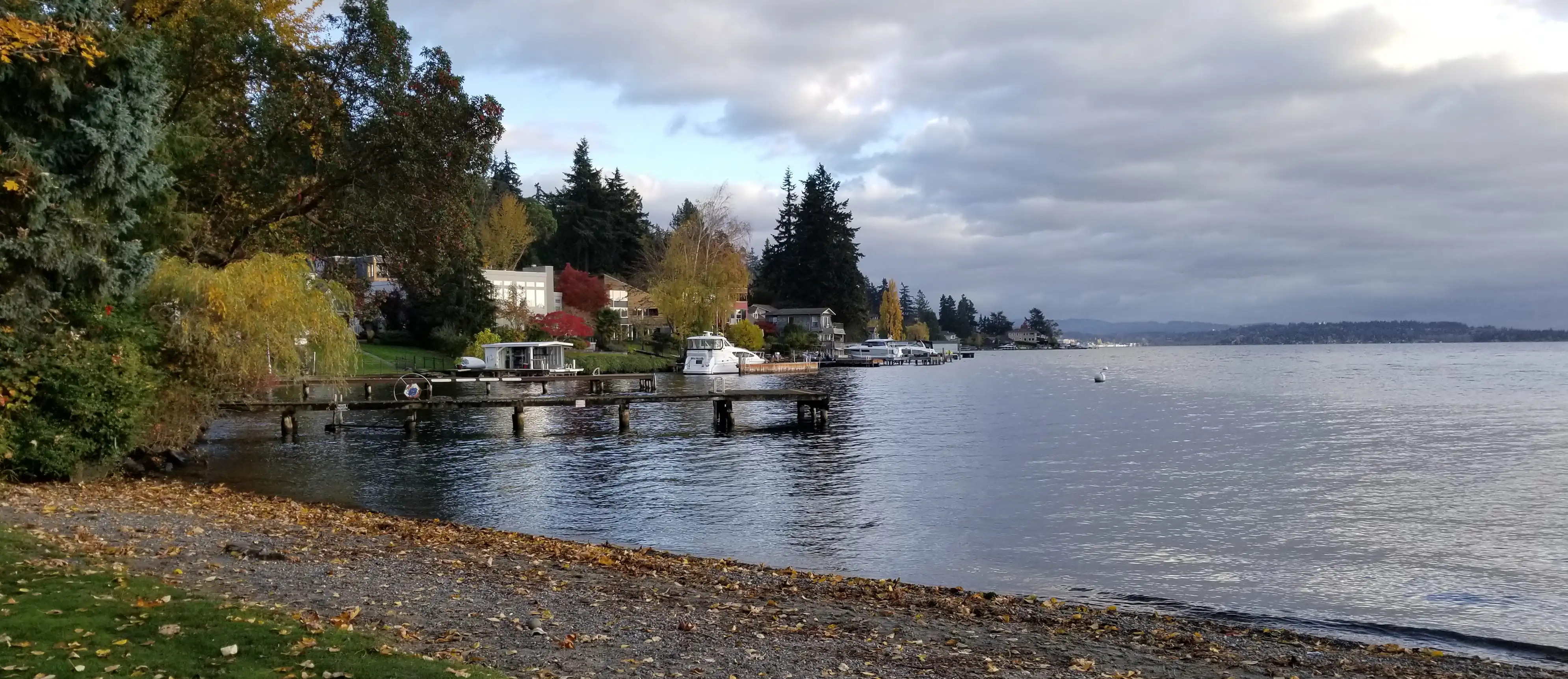 Kirkland scenery