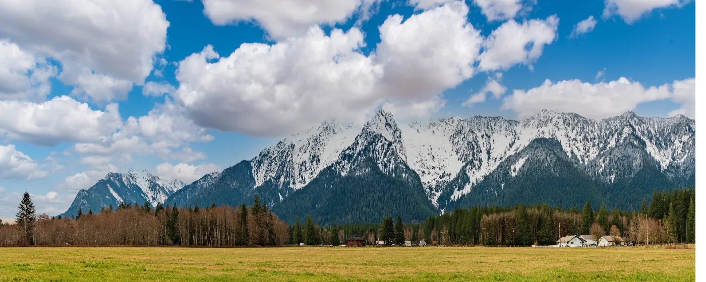 Living in Lynnwood, WA: The Local's Guide to Moving Here in 2026