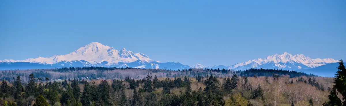 Lynnwood neighborhood