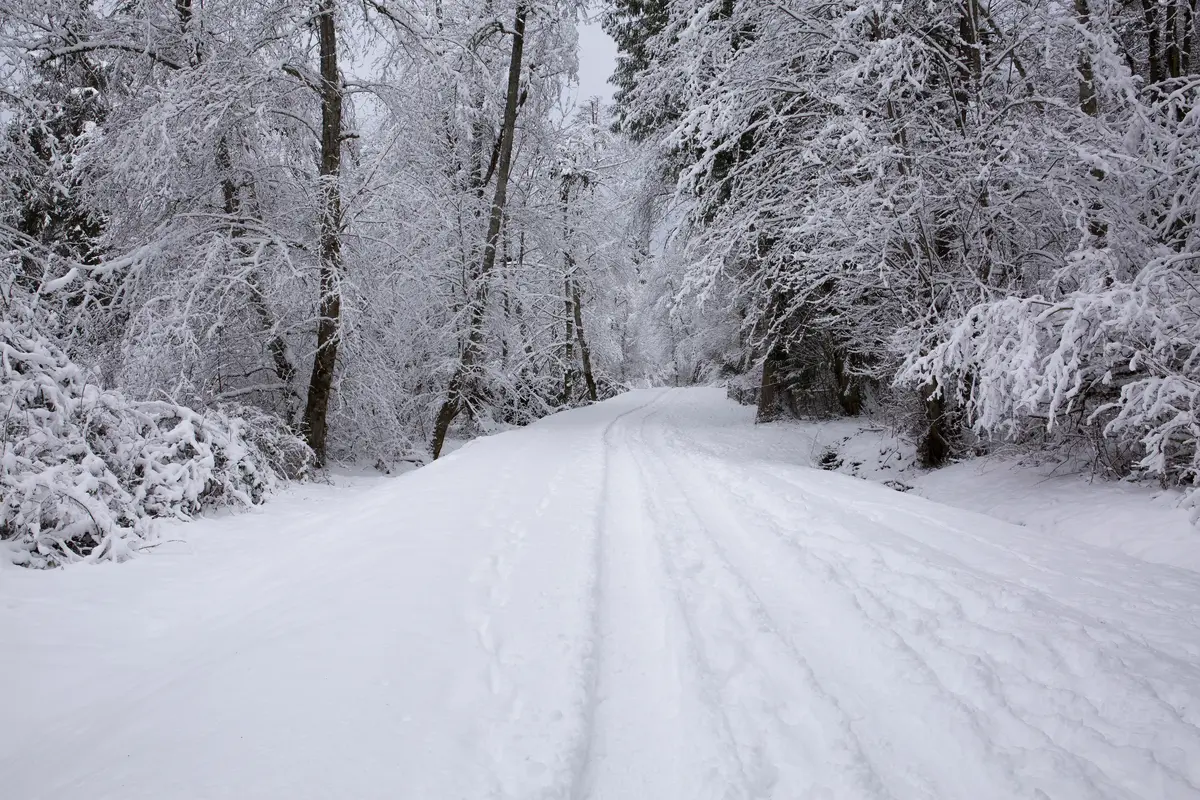 Maple Valley neighborhood