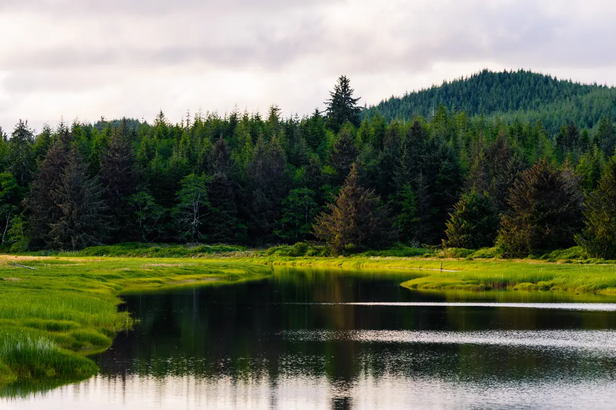 Maple Valley scenery
