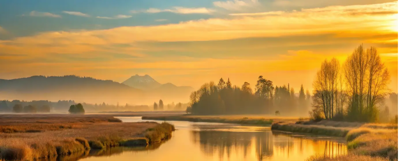 Living in Mill Creek, WA: What to Know Before You Move