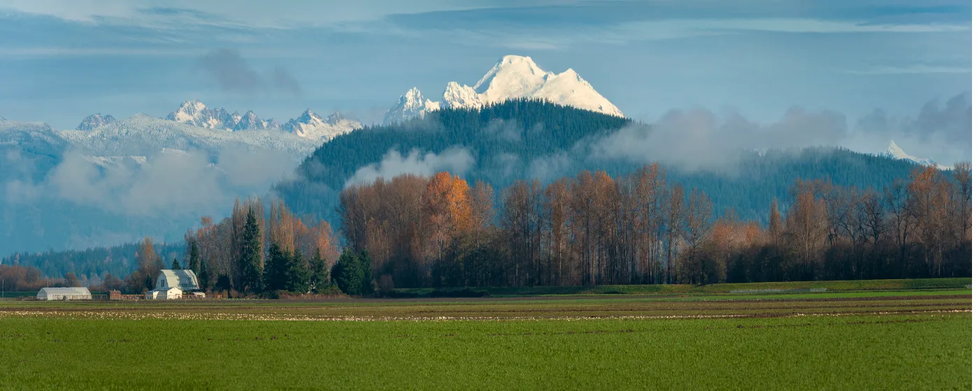 Mount Vernon, Washington Schools: Are They Right for Your Family? (2026)