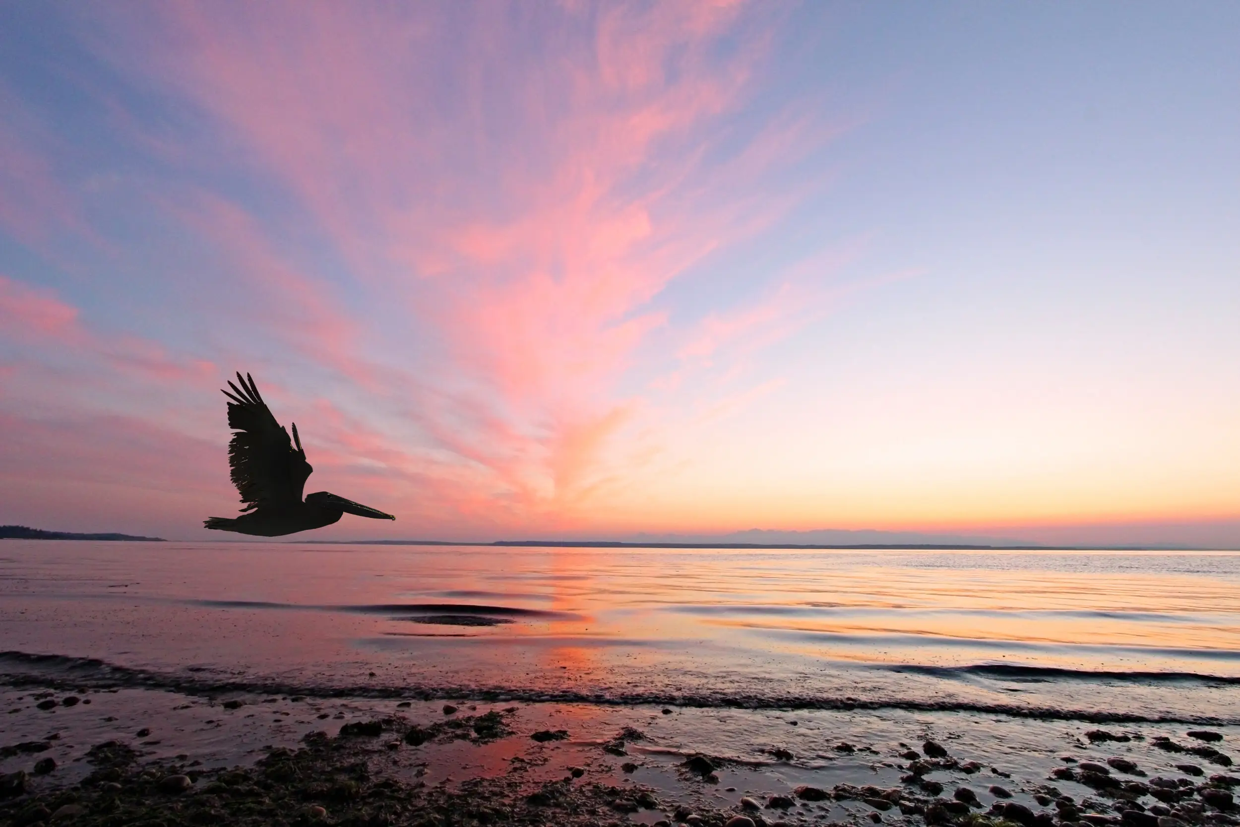 Mukilteo scenery