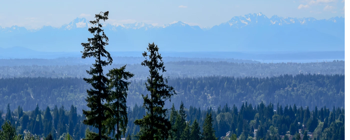 Newcastle, Washington Schools: Are They Right for Your Family? (2026)