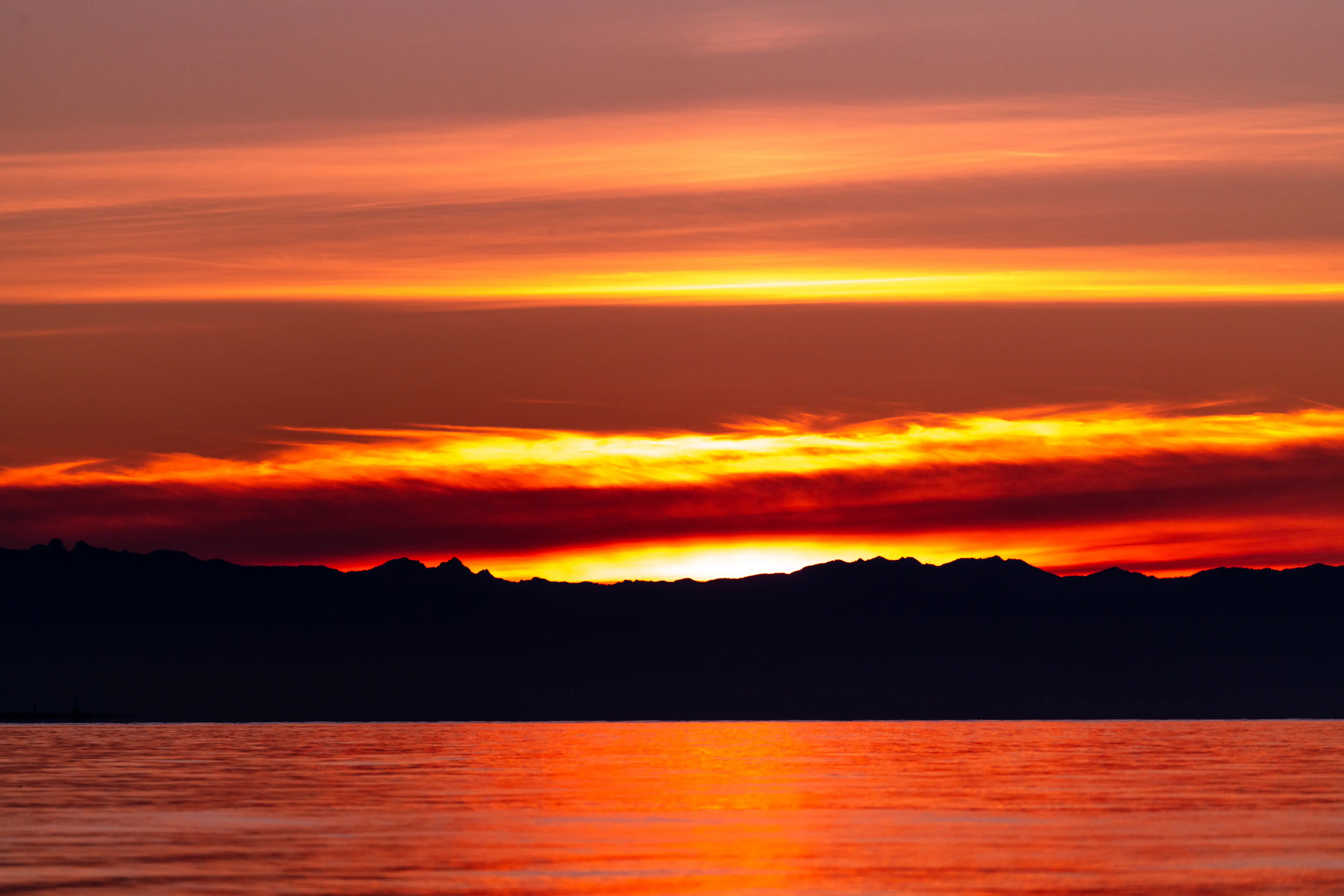 Oak Harbor scenery