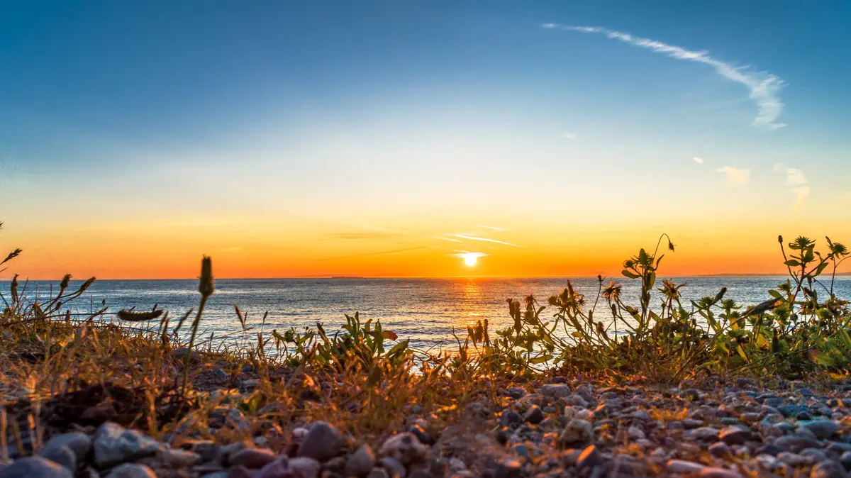 Oak Harbor