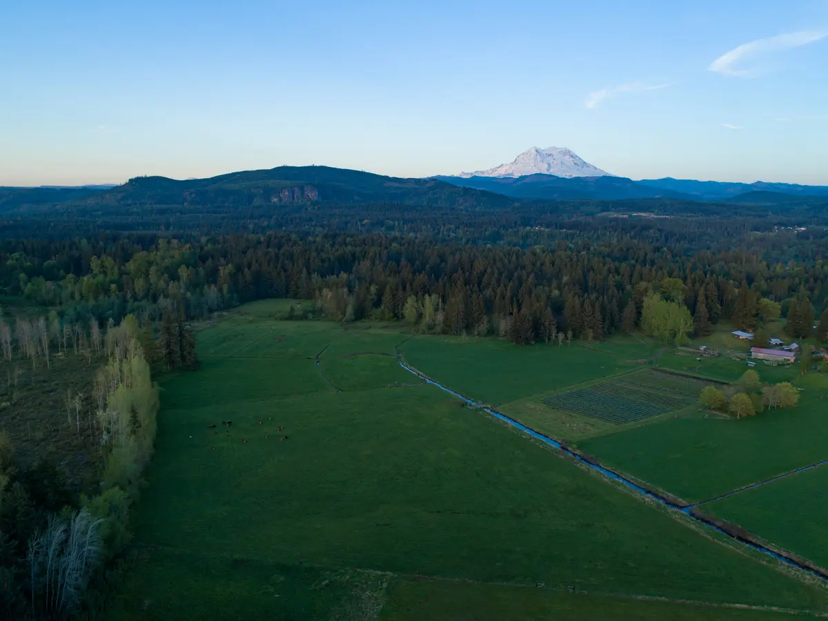 Orting neighborhood