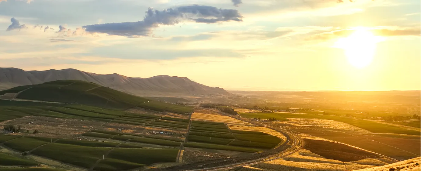 Living in Pasco, WA: The Real Local's Guide to Moving Here